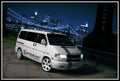 Potrivit pentru grila VW T4 96-03