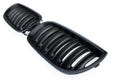 Grilă bara spate compatibilă cu BMW E83 X3 04-06