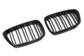 Grilă bara spate compatibilă cu BMW Seria 5 E39