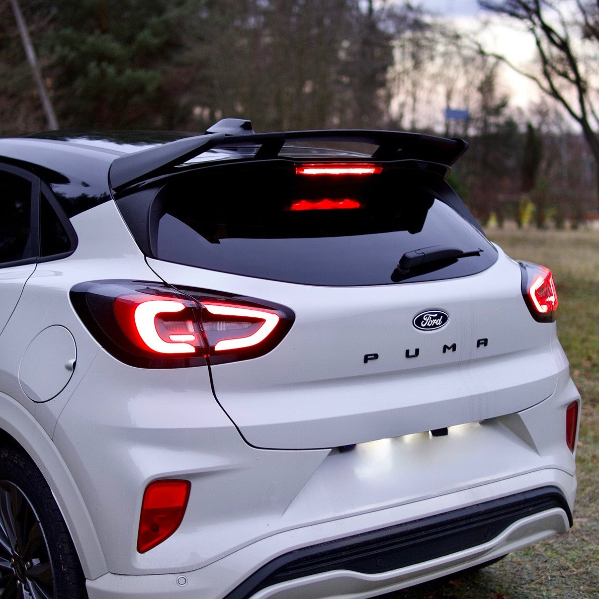 Eleron luneta portbagaj FORD PUMA ST / ST-LINE din 2019 TFB TUNING