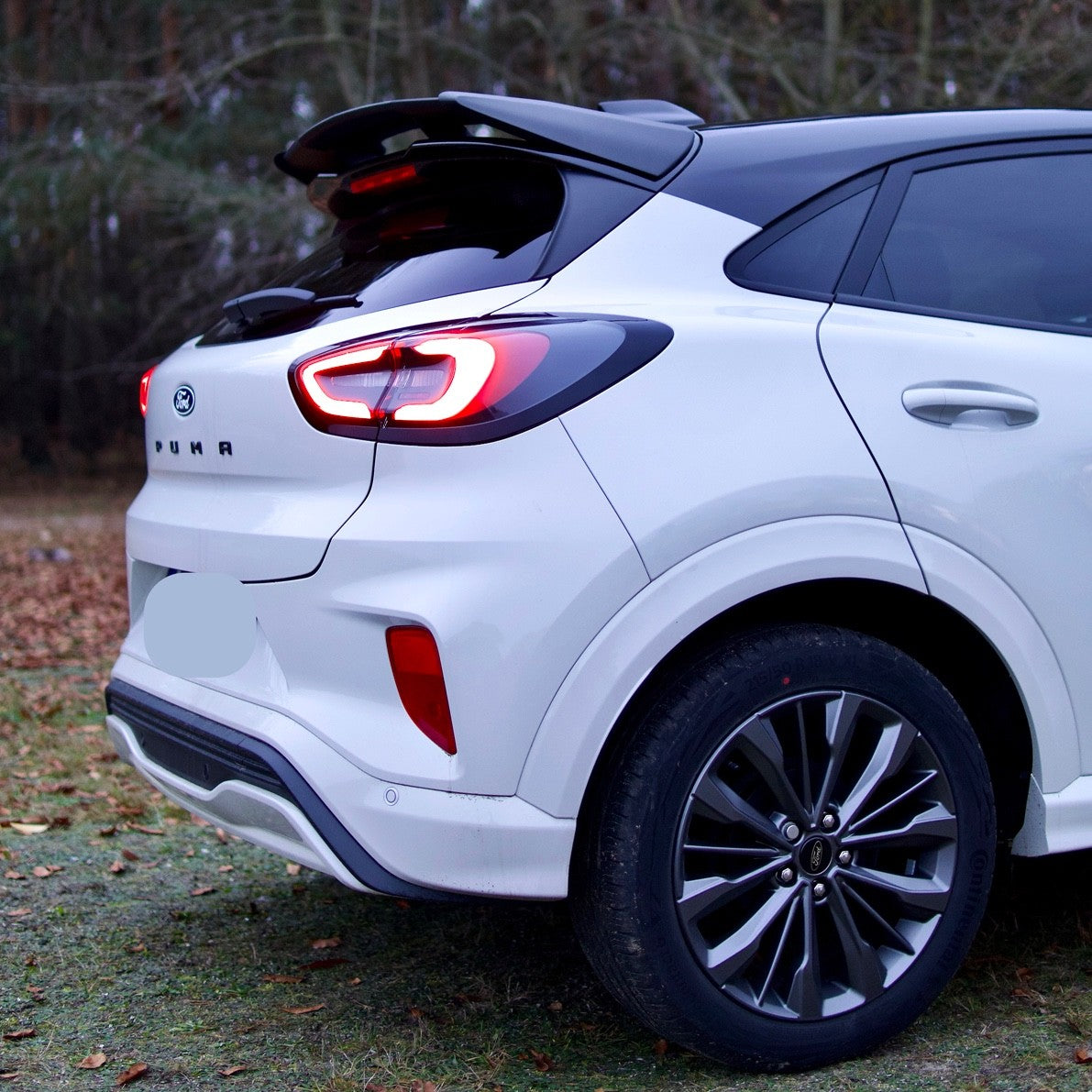 Eleron luneta portbagaj FORD PUMA ST / ST-LINE din 2019 TFB TUNING