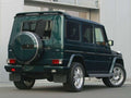 Eleron luneta portbagaj Mercedes G class W460, W461, W463 AMG TFBT