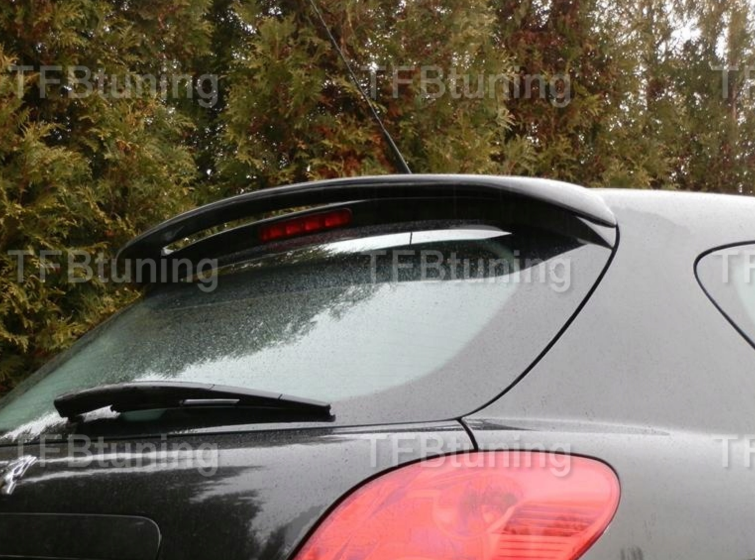 Eleron portbagaj PEUGEOT 207 TFB TUNING