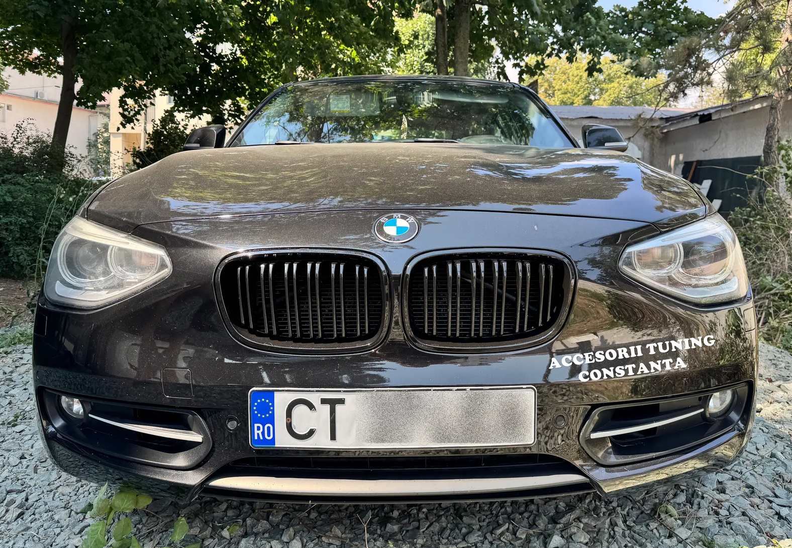 Grile - Nari Duble BMW Seria 1 F20 NonFacelift 2011 - 2014