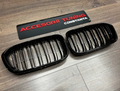 Grile - Nari Duble BMW Seria 1 F20 Facelift 2015+
