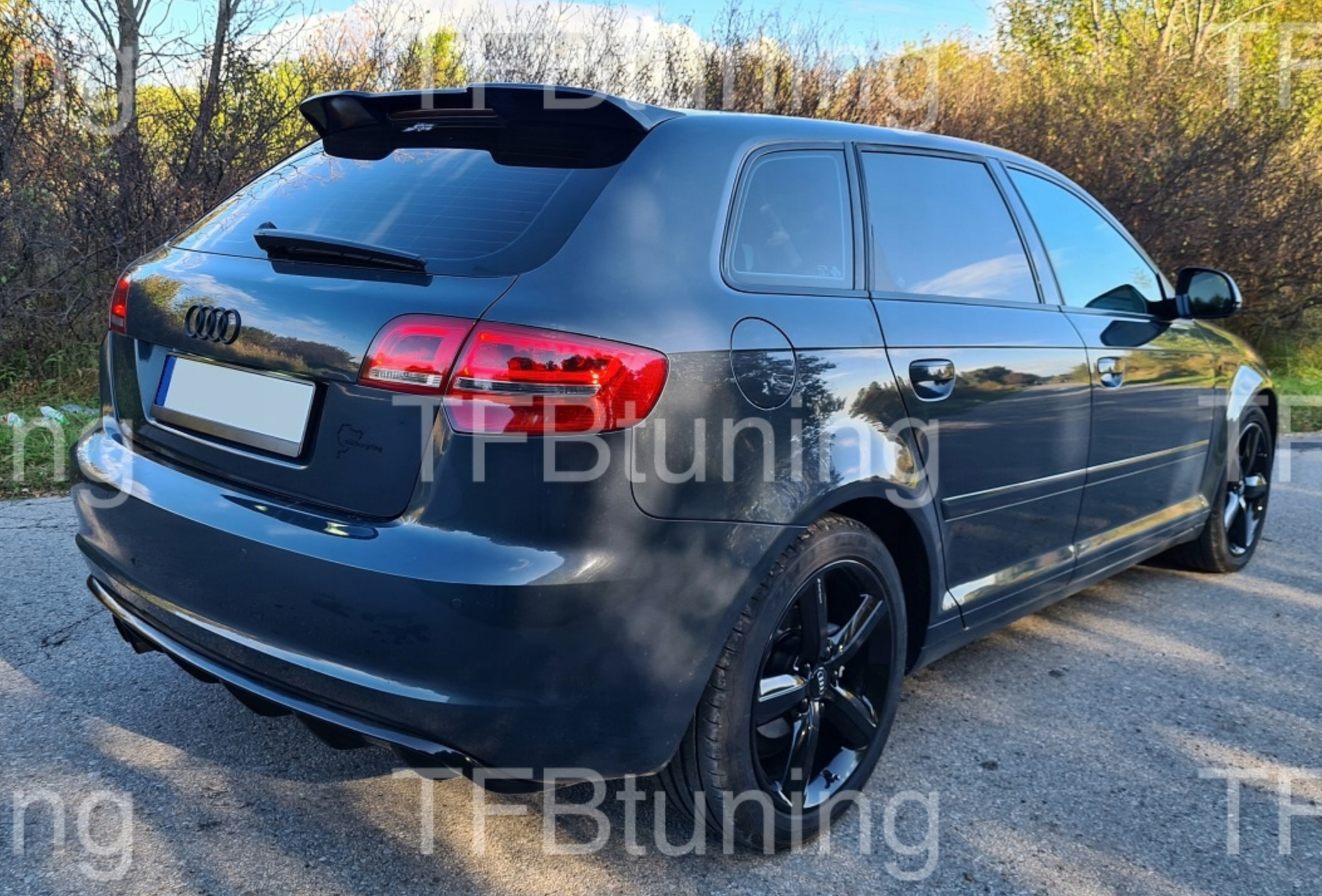 Eleron luneta portbagaj AUDI A3 8P 8PA SPORTBACK SLINE S LINE S-LINE S3 RS3 TFB TUNING