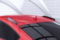 Eleronuri plafon cu ABE pentru Audi A5 / S5 / RS5 (8T) Sportback DF021