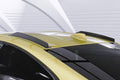 Eleronuri plafon cu ABE pentru BMW Seria 4 F32 / M4 F82 Coupe DF006