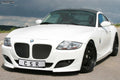 Bara de protecție față pentru BMW Z4 Tip E85 FSK372