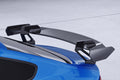 Eleron spate tip gât de lebădă cu ABE pentru Audi A5 / S5 / RS5 (8T) Sportback SHF016