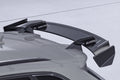 Eleron spate tip gât de lebădă cu ABE pentru Audi RS3 (8VA) Sportback SHF080