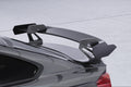 Eleron spate tip gât de lebădă cu ABE pentru BMW Seria 4 F32 Coupe SHF015